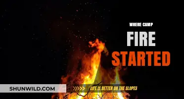 Origins of the Campfire: Unraveling the Mystery of Its Birth