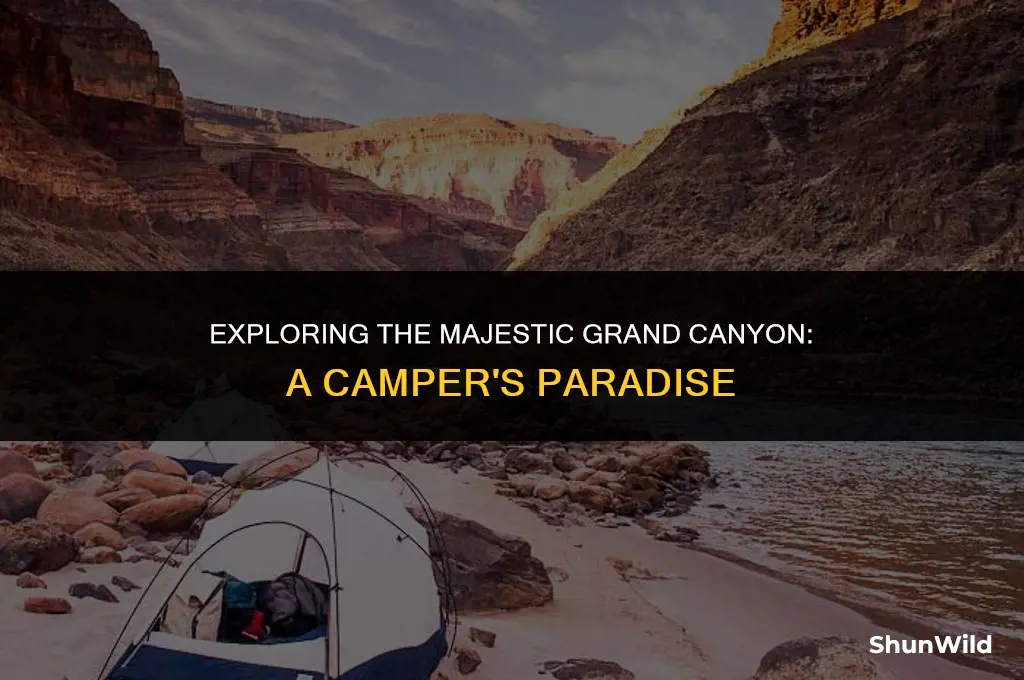 where camp grand canyon