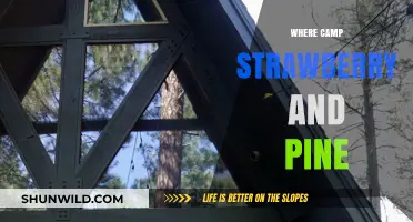 Discovering the Hidden Gems: Camp Strawberry and Pine's Secret Locations