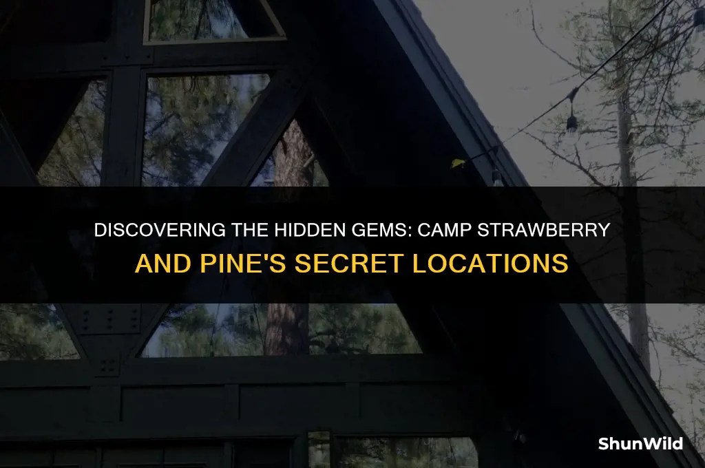 where camp strawberry and pine