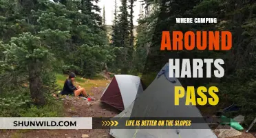 Exploring the Great Outdoors: Camping Adventures Near Harts Pass