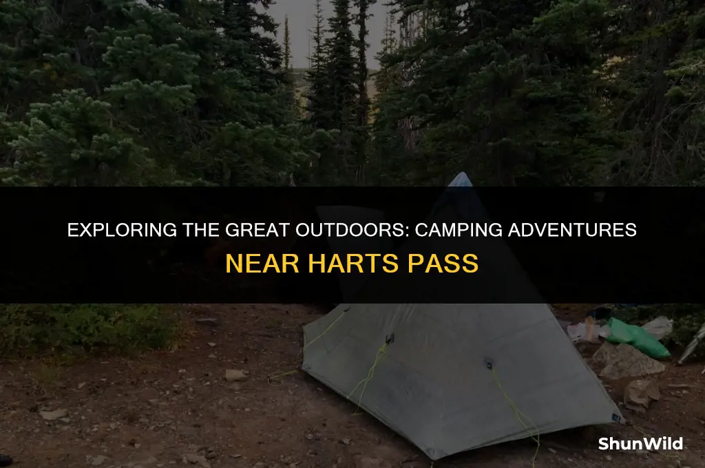 where camping around harts pass