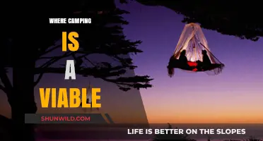 Exploring the Great Outdoors: Where Camping is a Viable Option