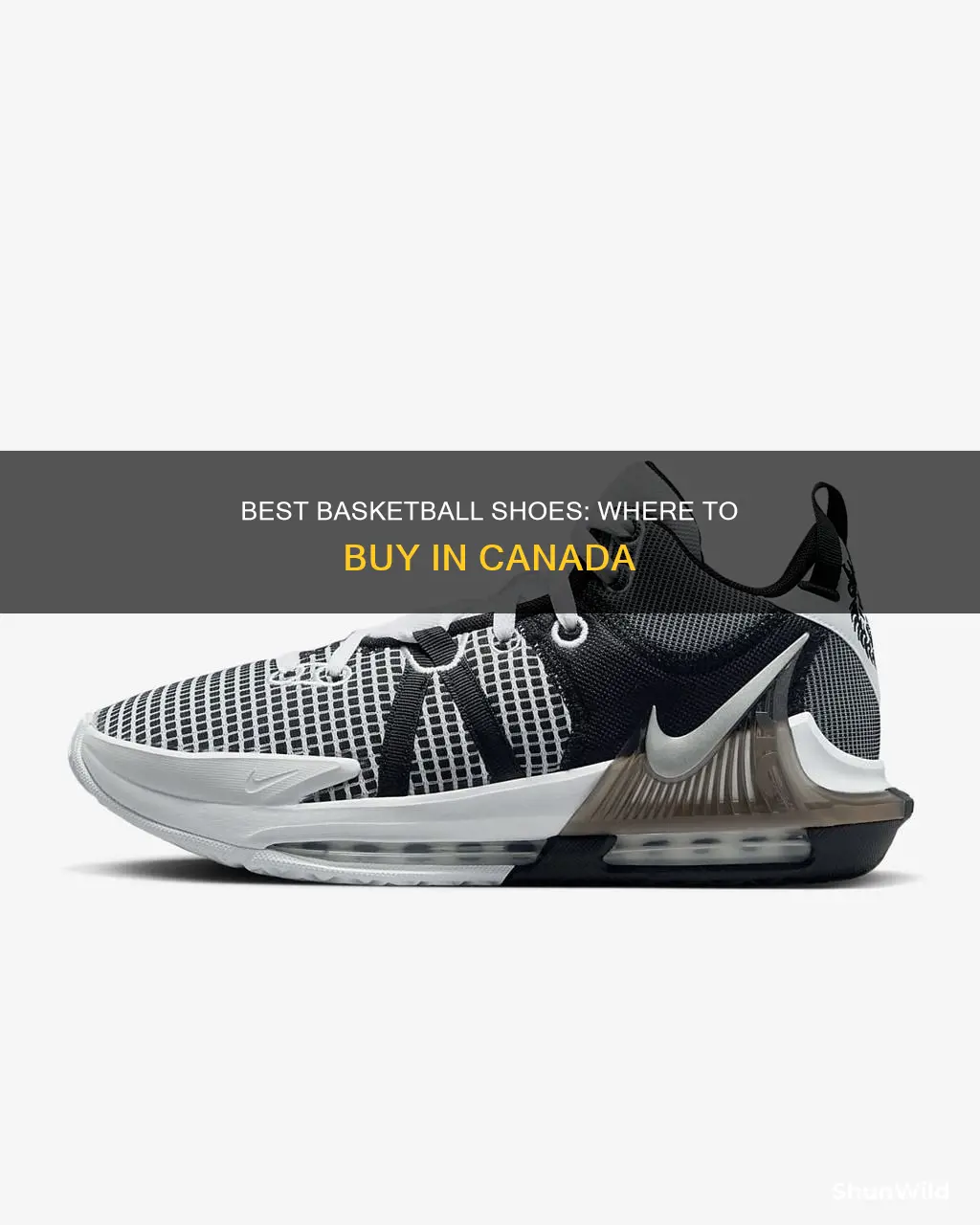 where can i buy basketball shoes in canada