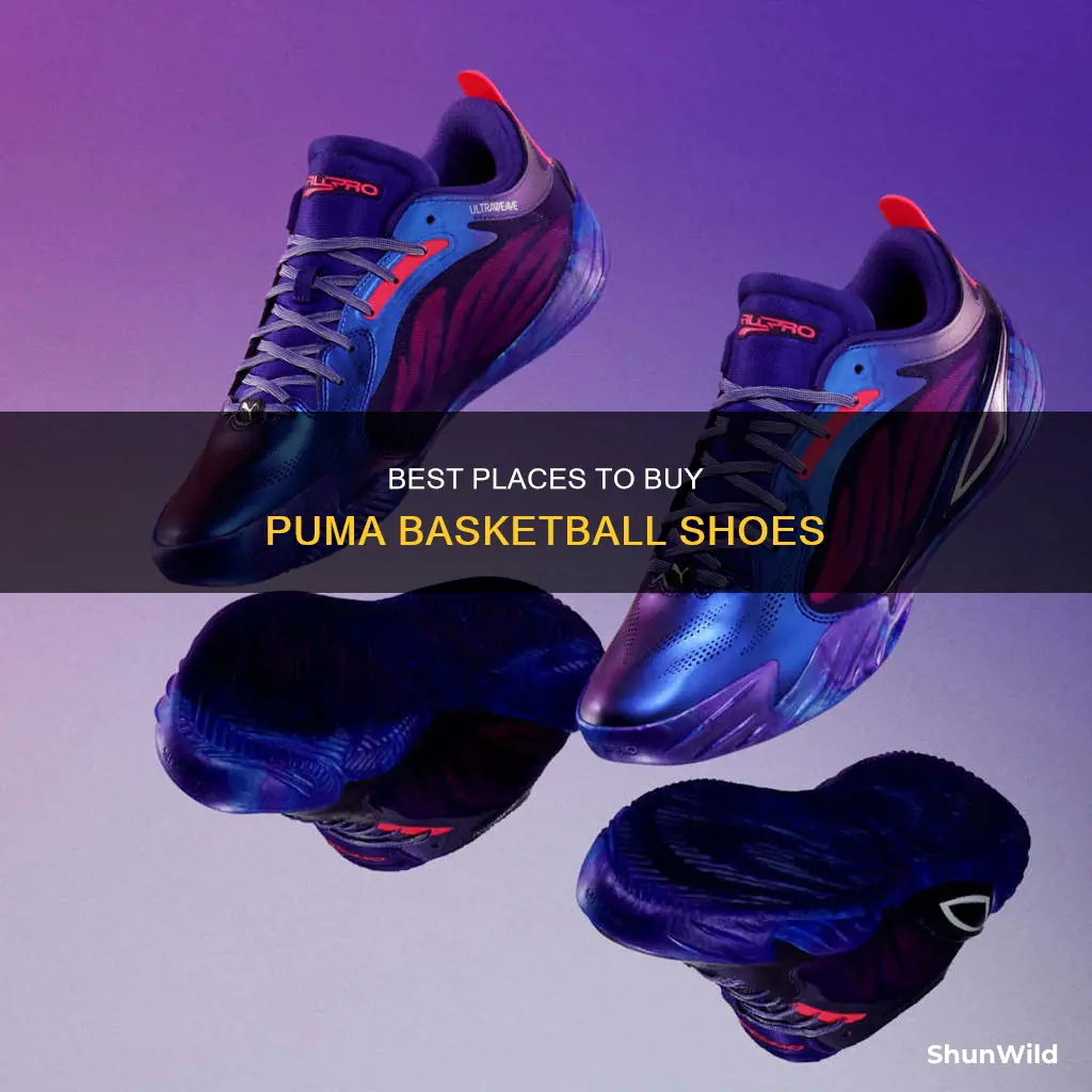 where can i buy puma basketball shoes