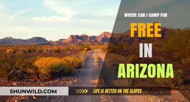 Discover Arizona's Best Free Camping Spots: Adventure Awaits Under the Stars