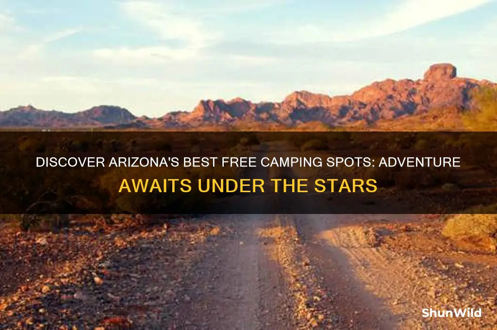 where can i camp for free in arizona