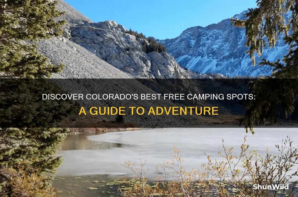 where can i camp for free in colorado