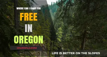 Discover Oregon's Best Free Camping Spots: A Nature Lover's Guide