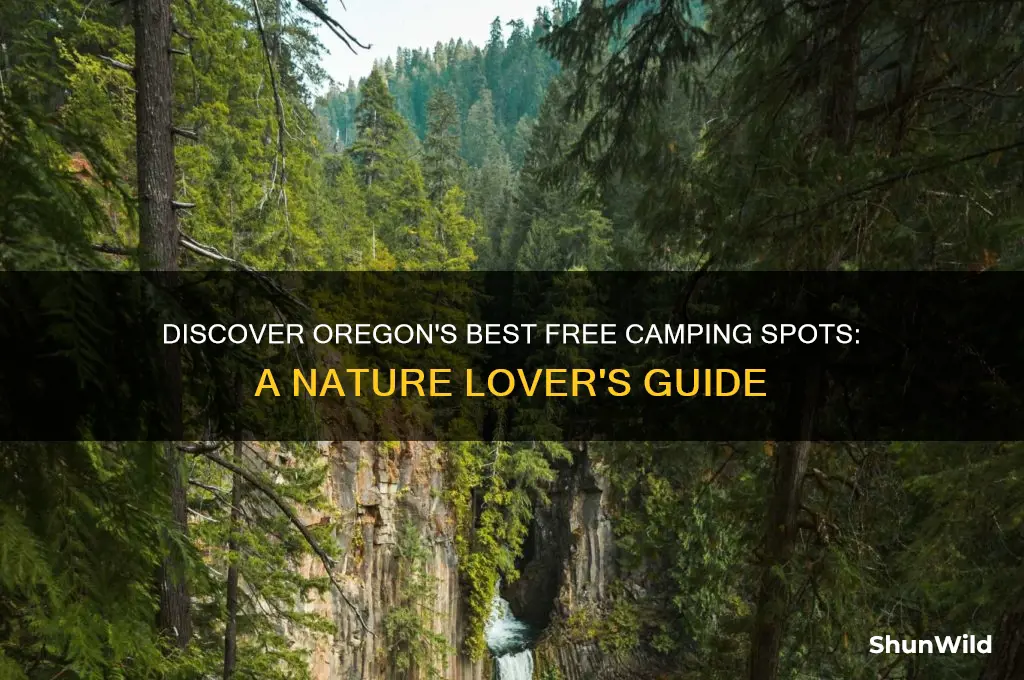 where can i camp for free in oregon