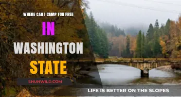 Discover Free Camping Spots in Washington State: A Complete Guide