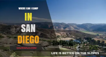 Discover San Diego's Best Camping Spots: Beaches, Mountains, and More