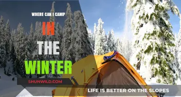 Winter Camping Destinations: Cozy Spots for Cold-Weather Adventures