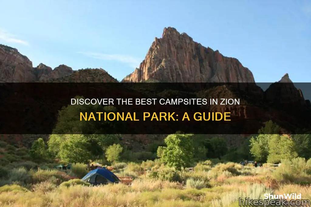 where can i camp in zion national park