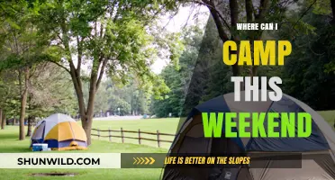 Discover the Best Weekend Camping Spots Near You: A Guide
