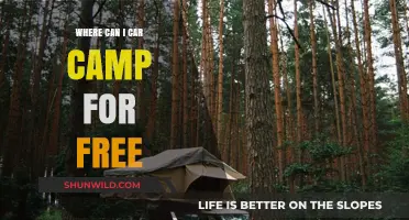 Discover Free Car Camping Spots: Ultimate Guide to Overnight Adventures