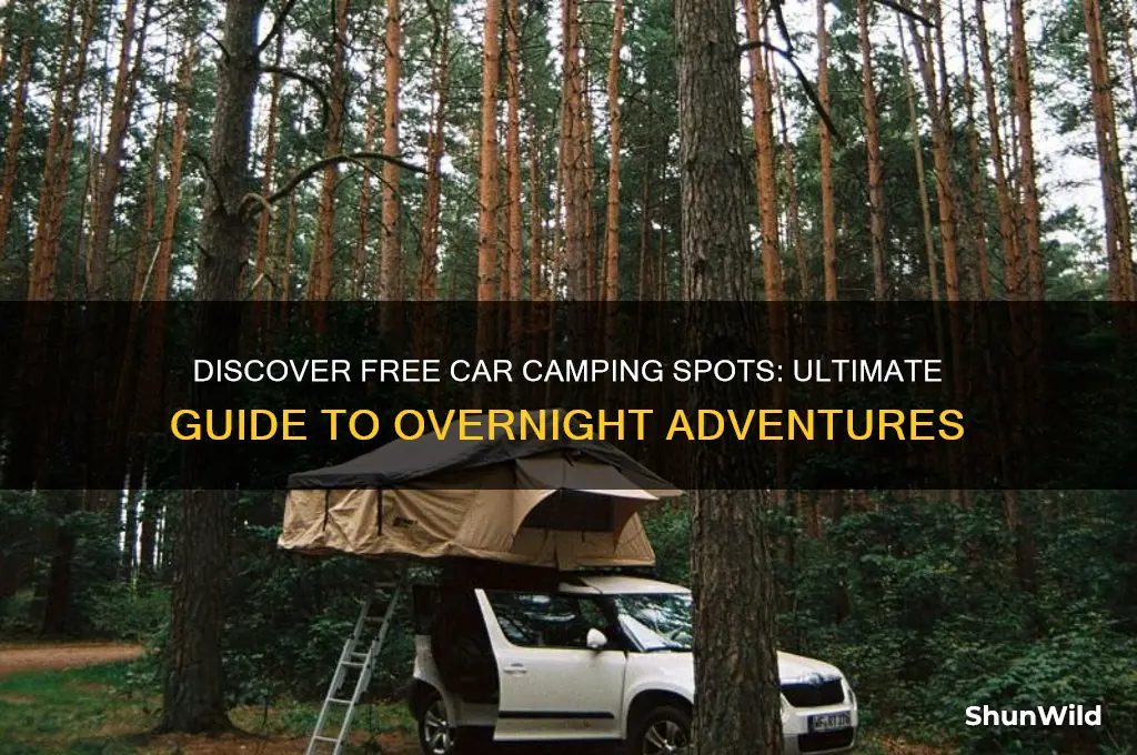 where can i car camp for free