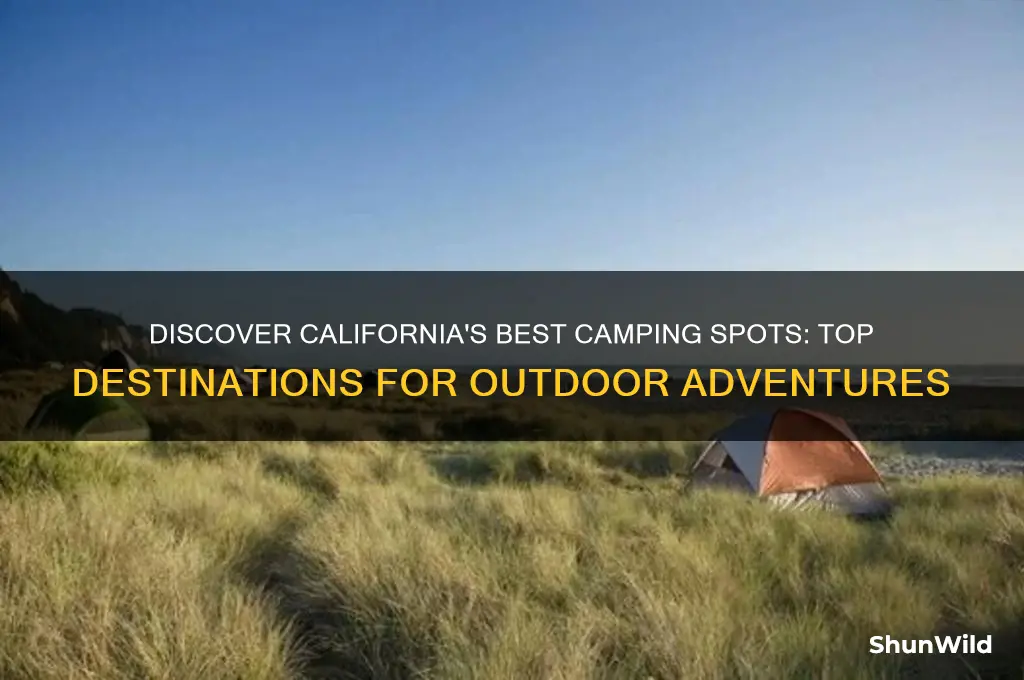 where can i go camping in california