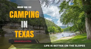 Discover Texas' Best Camping Spots: Nature, Adventure, and Relaxation Await