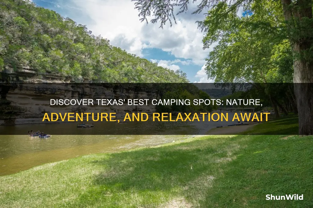 where can i go camping in texas