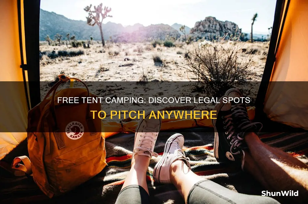 where can i pitch a tent for free
