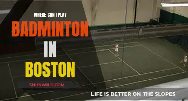 Best Places to Play Badminton in Boston