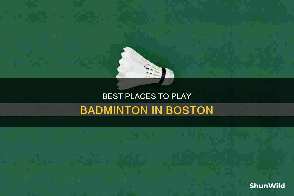 where can i play badminton in boston
