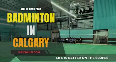 Badminton Venues in Calgary: Where to Play?