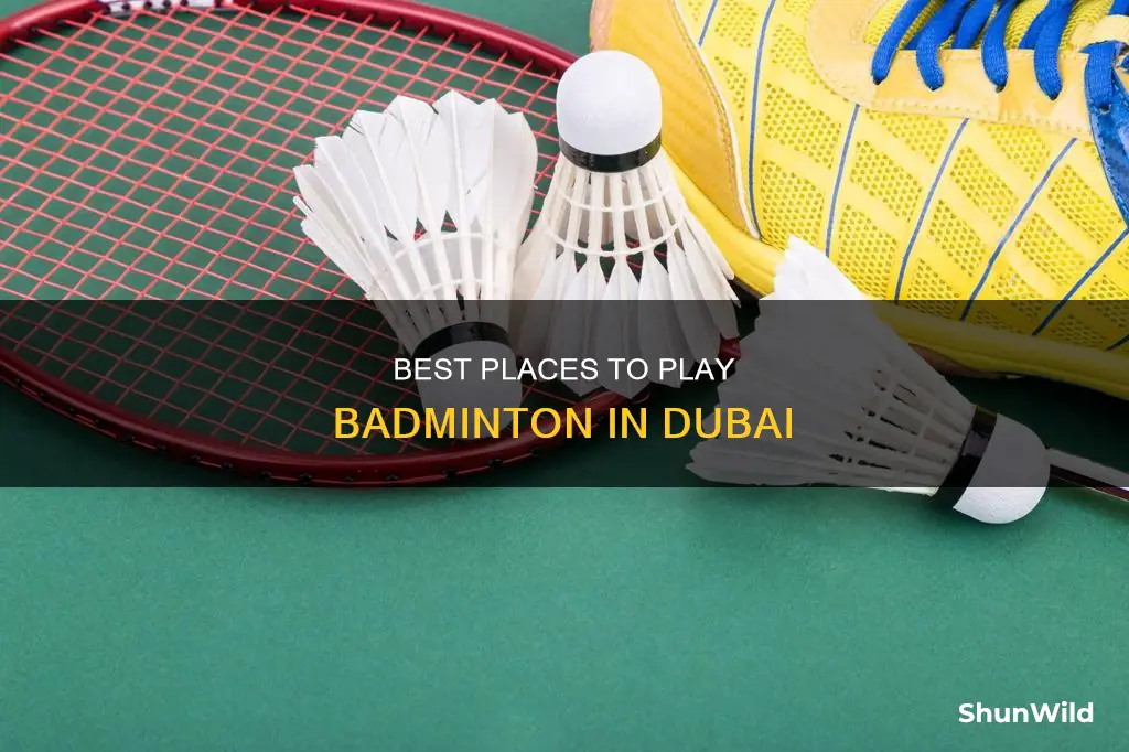 where can i play badminton in dubai