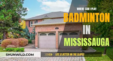 Best Places to Play Badminton in Mississauga