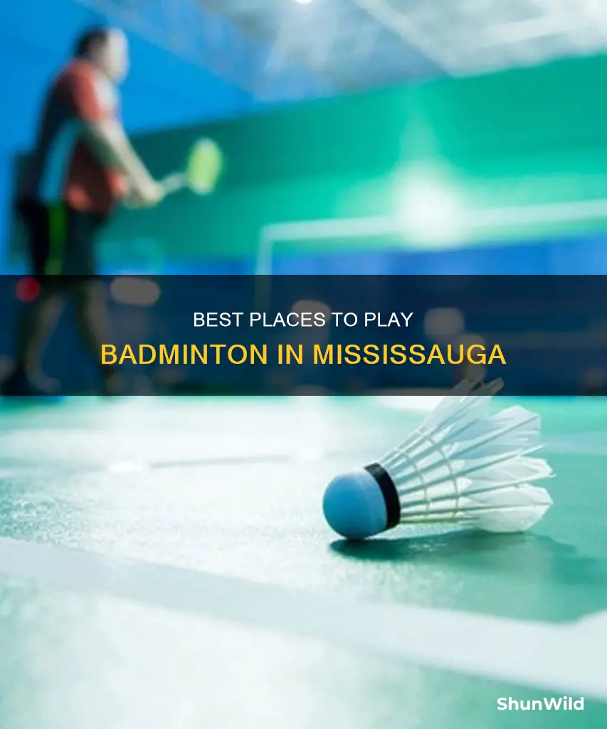 where can i play badminton in mississauga