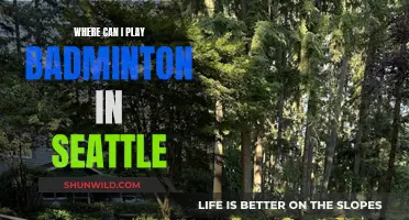 Best Places to Play Badminton in Seattle