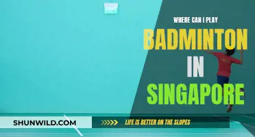 Best Places to Play Badminton in Singapore