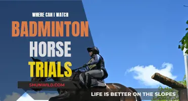 Best Ways to Watch Badminton Horse Trials