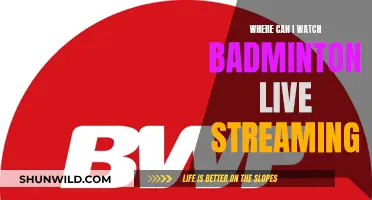 Best Sites to Watch Badminton Live Streaming