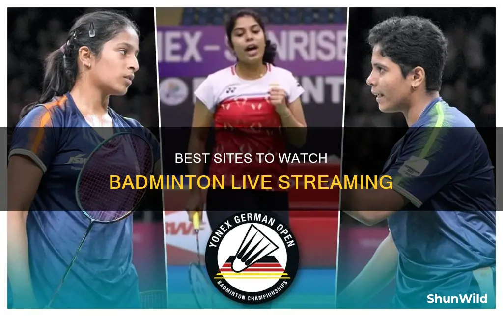 where can i watch badminton live streaming