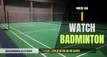Best Platforms to Watch Badminton