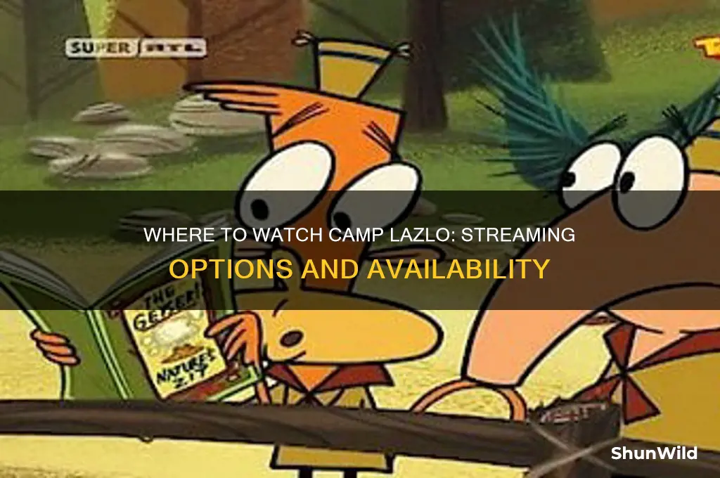 where can i watch camp lazlo