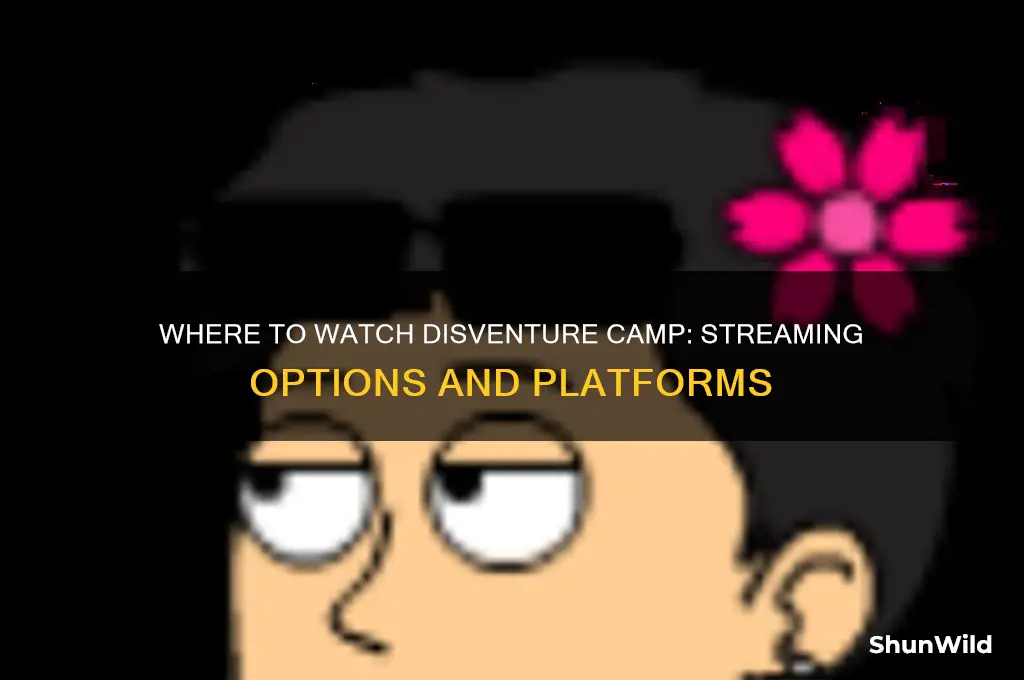 where can i watch disventure camp