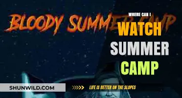 Where to Watch Summer Camp: Top Streaming Platforms and Channels