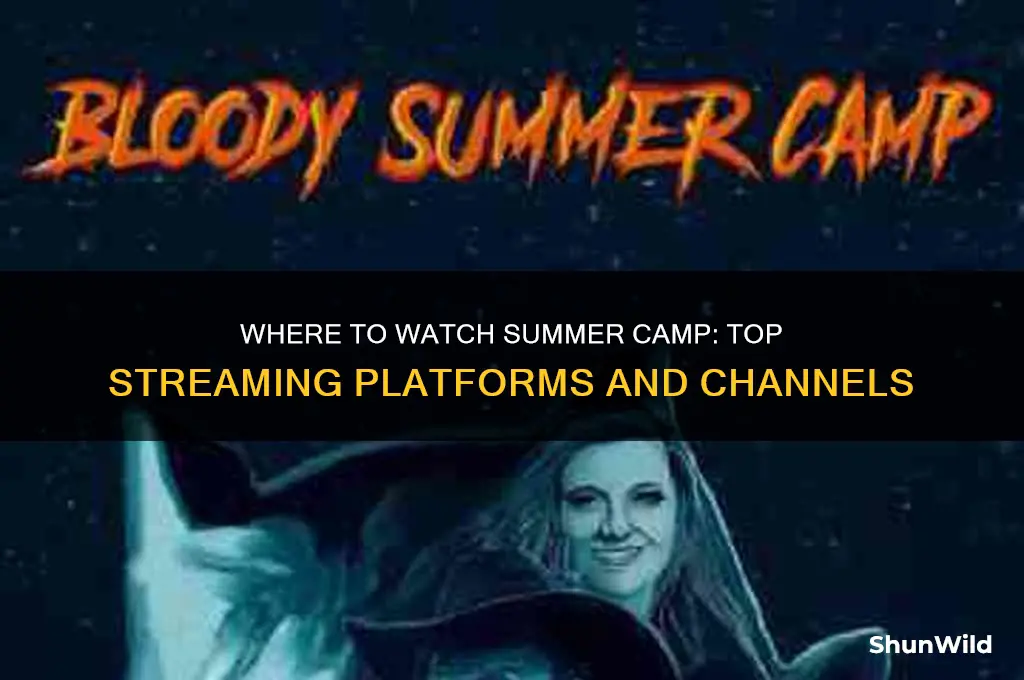 where can i watch summer camp