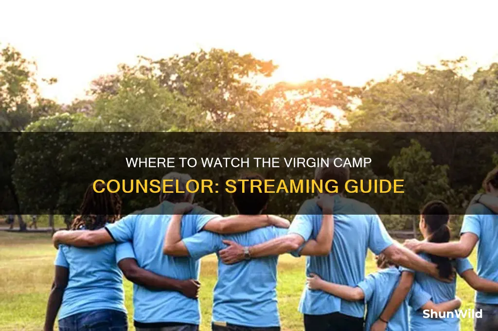 where can i watch the virgin camp counselor