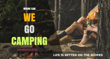 Discover the Best Camping Destinations for Your Next Outdoor Adventure