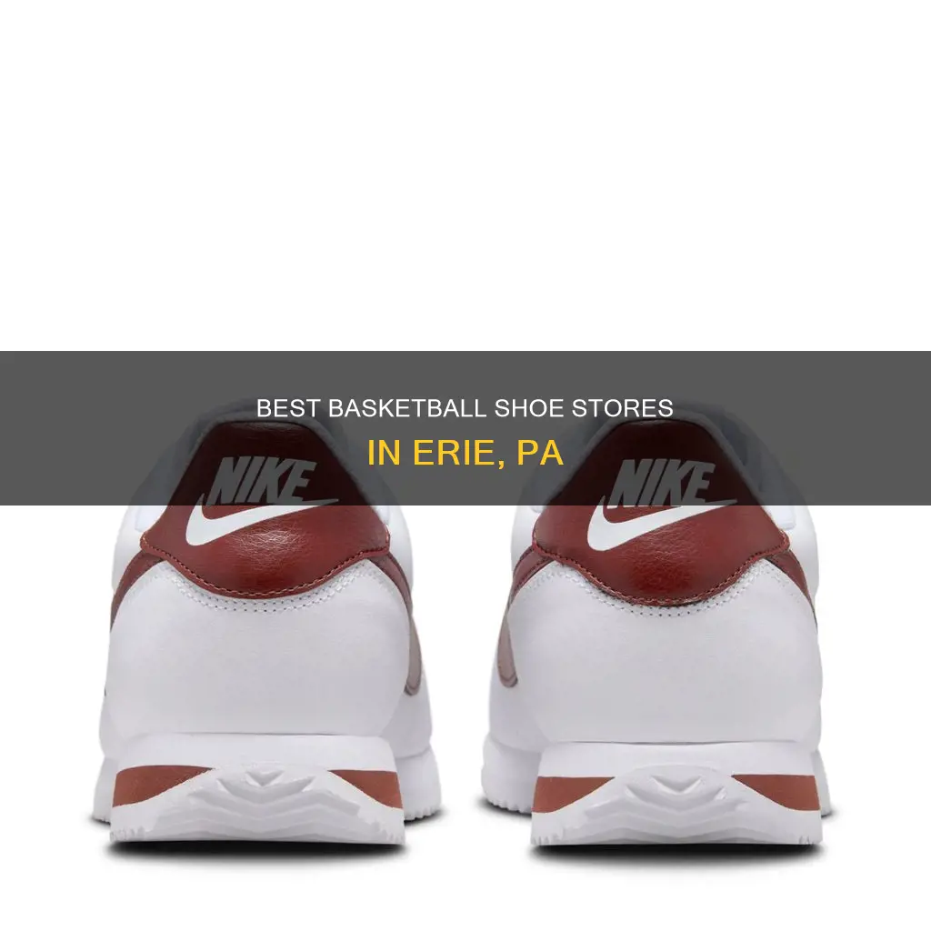 where can you buy basketball shoes in erie pa