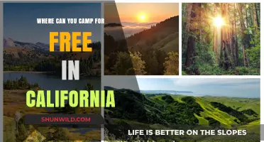 Discover California's Best Free Camping Spots: A Guide to Adventure