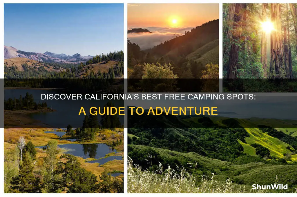 where can you camp for free in california