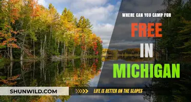 Discover Michigan's Best Free Camping Spots: Adventure Awaits!