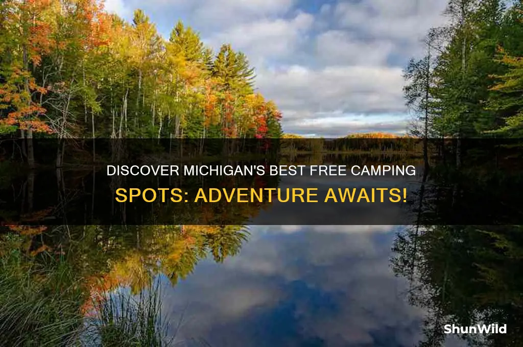 where can you camp for free in michigan
