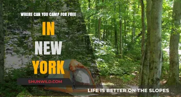 Discover Free Camping Spots in New York's Great Outdoors