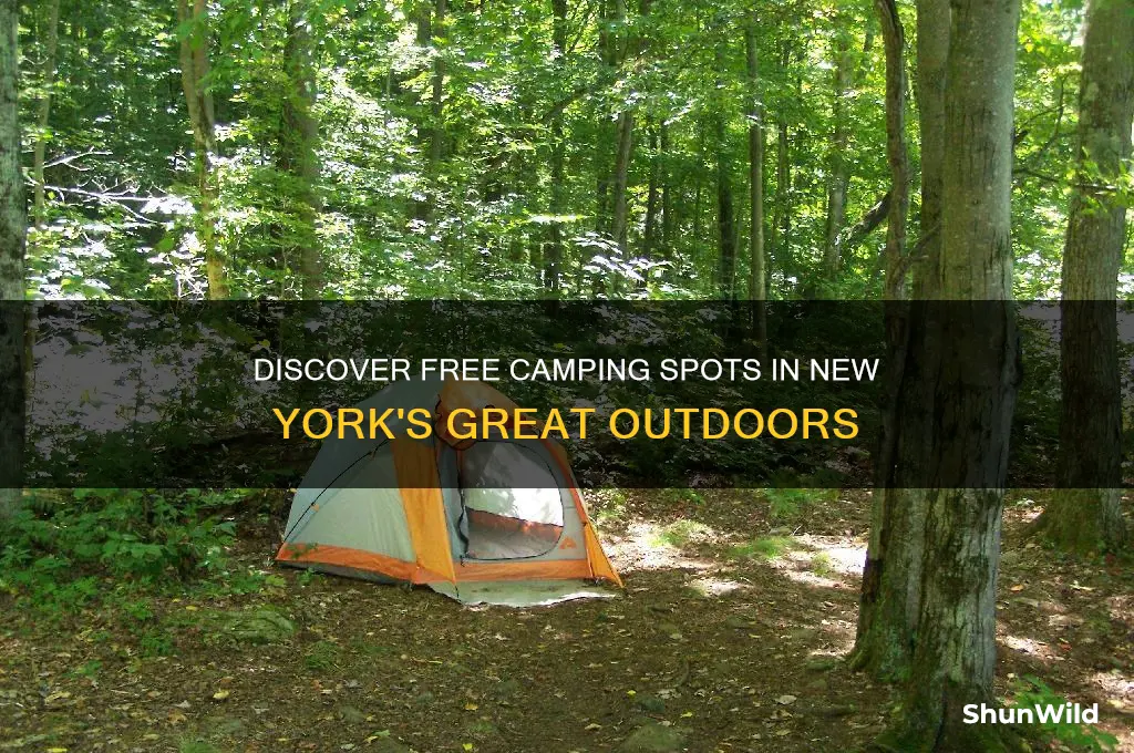 where can you camp for free in new york